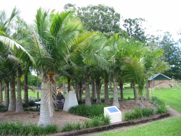 Beaudesert WWII war memorial (Palm Garden)  | 