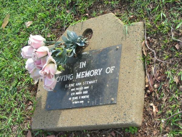 Elaine Ann STEWART  | 12 Mar 1988  | aged 49 years 11 months  |   | Albany Creek Cemetery, Pine Rivers  |   | 