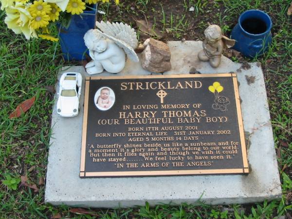 Harry Thomas STRICKLAND  | B: 17 Aug 2001  | D: 31 Jan 2002  | aged 5 Months 14 days  |   | Albany Creek Cemetery, Pine Rivers  |   | 