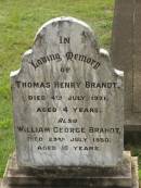 
Thomas Henry BRANDT,
died 4 July 1921 aged 4 years;
William George BRANDT,
died 23 July 1930 aged 10 years;
Appletree Creek cemetery, Isis Shire
