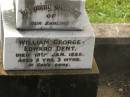 
William George Edward (Teddy) DENT,
died 18 Jan 1938 aged 5 years 3 months;
Appletree Creek cemetery, Isis Shire
