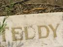 
William George Edward (Teddy) DENT,
died 18 Jan 1938 aged 5 years 3 months;
Appletree Creek cemetery, Isis Shire
