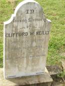 
Clifford MCNEILLY,
died 22 May 1912 aged 3 12 years;
Appletree Creek cemetery, Isis Shire
