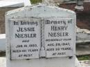 
Jessie NIESLER,
died 18 Jan 1993 aged 101 years;
Henry NIESLER,
accidentally killed 29 Aug 1947 aged 58 years;
Appletree Creek cemetery, Isis Shire
