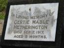 
Gertie Mable HETHERINGTON,
died 7 Ser 1917 aged 5 months;
Appletree Creek cemetery, Isis Shire
