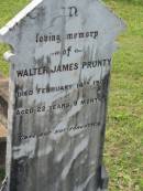 
Walter James PRUNTY,
died 14 Feb 1909? aged 22 years 9 months;
Appletree Creek cemetery, Isis Shire
