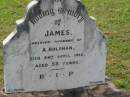 James, husband of A. HOLOHAN, died 24 April 1915 aged 58 years; Appletree Creek cemetery, Isis Shire 