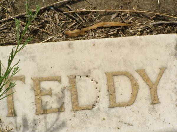 William George Edward (Teddy) DENT,  | died 18 Jan 1938 aged 5 years 3 months;  | Appletree Creek cemetery, Isis Shire  | 