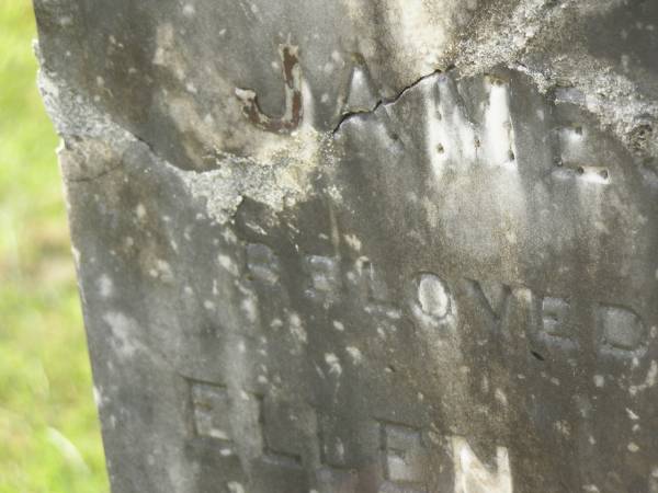 James GRIFFIN,  | husband of Ellen Jane GRIFFIN,  | died of injuries accidentally received  | 6 March 1909 aged 59 years 10 months;  | Appletree Creek cemetery, Isis Shire  | 