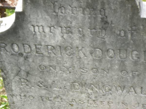 Roderick Douglas,  | only son of R. & L. DINGWALL,  | died 27 Oct 1899 aged 6 months;  | Appletree Creek cemetery, Isis Shire  | 