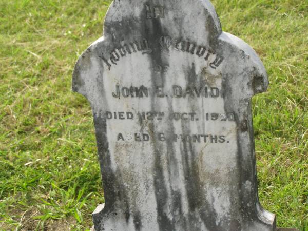 John E. DAVID,  | died 12 Oct 1920? aged 6 months;  | Appletree Creek cemetery, Isis Shire  | 