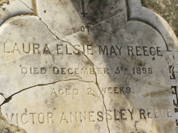 Laura Elsie May REECE,  | died 5 Dec 1909 aged 2 weeks;  | Victor Annessley REECE,  | died 9 Nov 1899 aged 2 weeks;  | Victor? Hubert REECE,  | died 1 April 1901 aged 2 months;  | William Reginald REECE,  | accidentally killed 16 Oct 1907 aged 5 1/2 years;  | Appletree Creek cemetery, Isis Shire  | 