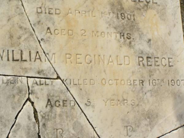 Laura Elsie May REECE,  | died 5 Dec 1909 aged 2 weeks;  | Victor Annessley REECE,  | died 9 Nov 1899 aged 2 weeks;  | Victor? Hubert REECE,  | died 1 April 1901 aged 2 months;  | William Reginald REECE,  | accidentally killed 16 Oct 1907 aged 5 1/2 years;  | Appletree Creek cemetery, Isis Shire  | 