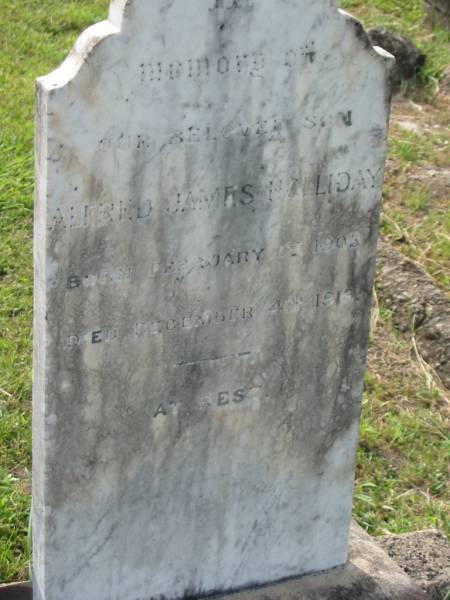 Alfred James HOLLIDAY,  | son,  | born 1 Feb 1903,  | died 4 Dec 1916;  | Appletree Creek cemetery, Isis Shire  | 