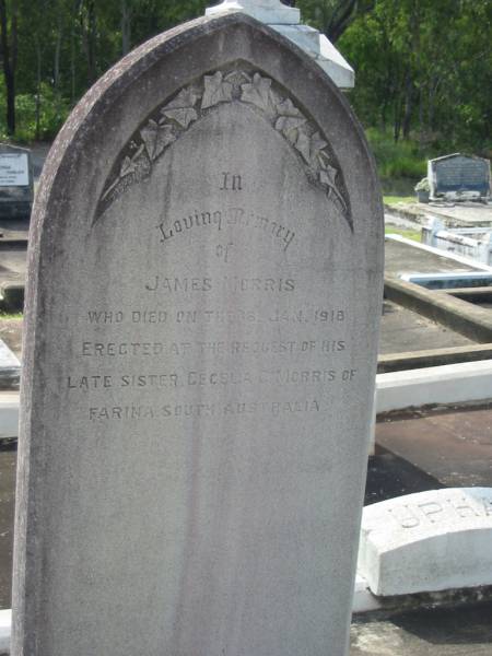 James MORRIS,  | died 16 Jan 1918,  | erected by late sister  | Cecilia C. MORRIS of Farina, South Australia;  | Appletree Creek cemetery, Isis Shire  |   | 