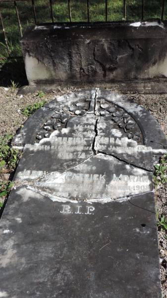 Rodrick MORAN  | d: 3 Jan 1906 aged 78  |   | Jerome Patrick MORAN  | d: 1 Mar 1908 aged 71  |   | Atherton Pioneer Cemetery (Samuel Dansie Park)  |   | 