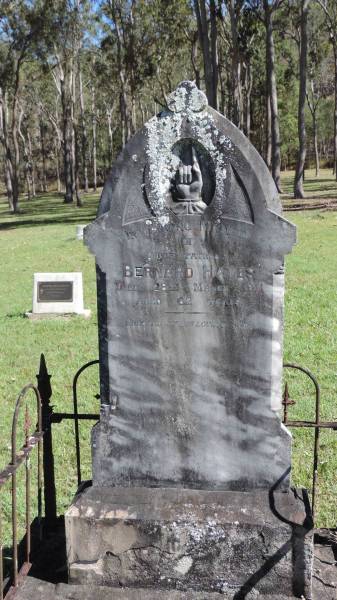 Bernard HAYES  | d: 28 Mar 1911 aged 62  |   | Atherton Pioneer Cemetery (Samuel Dansie Park)  |   |   | 
