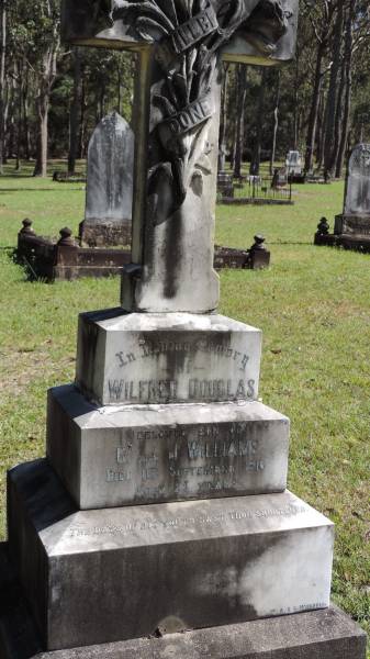 Wilfred Douglas WILLIAMS  | son of C and J WILLIAMS  | d: 11 Sep 1916 aged 24  |   | Atherton Pioneer Cemetery (Samuel Dansie Park)  |   |   | 
