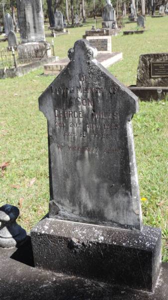 George MILES  | d: 20 Apr 1925 aged 19  |   | Atherton Pioneer Cemetery (Samuel Dansie Park)  |   |   | 