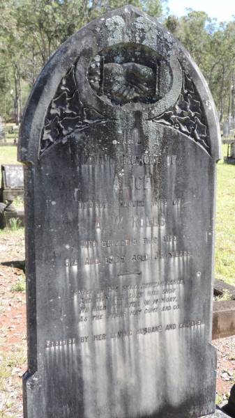 Alice (ROLLS)  | d: 6 Aug 1925 aged 32  | wife of A.W. ROLLS  |   | Atherton Pioneer Cemetery (Samuel Dansie Park)  |   |   | 