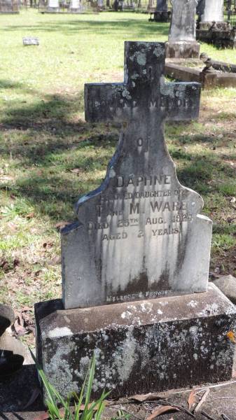 Daphne (WARE)  | d: 25 Aug 1927 aged 2  | daughter of T and M WARE  |   | Atherton Pioneer Cemetery (Samuel Dansie Park)  |   |   | 