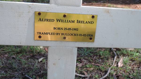 Alfred William IRELAND  | b: 23 May 1902  | d: 1 Feb 1926 (trampled by bullocks)  |   | Atherton Pioneer Cemetery (Samuel Dansie Park)  |   |   |   | 