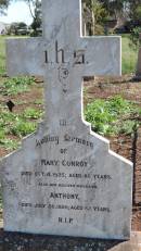
Mary CONROY
d: 3 Oct 1925 aged 86

husband
Anthony CONROY
d: 26 Jul 1928 aged 82

Aubigny Catholic Cemetery, Jondaryan

