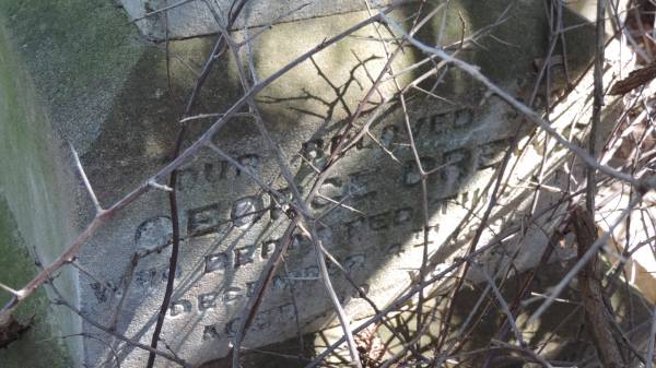 George DREWS  | d: 4 Dec 1895 aged 10  |   | Aubigny St Johns Lutheran cemetery, Toowoomba Region  |   | 