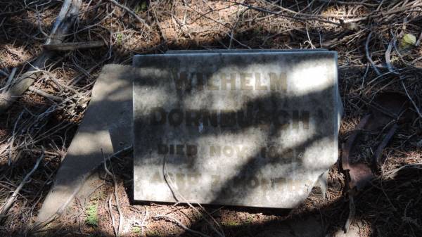 Wilhelm DORNBUSCH  | d: Nov 1897 aged 7 mo  |   | Aubigny St Johns Lutheran cemetery, Toowoomba Region  |   |   | 