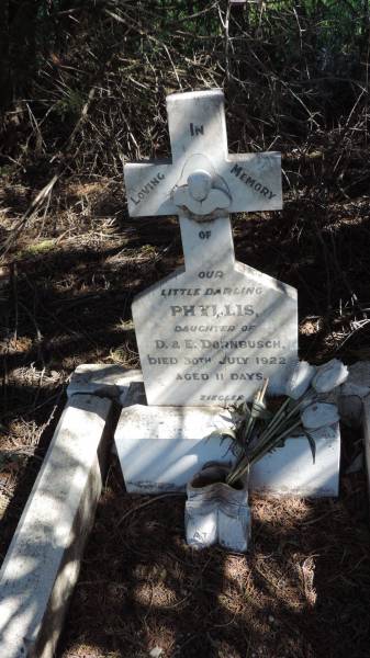 Phyllis DORNBUSCH  | d: 30 Jul 1922 aged 11 days  | daughter of D and E DORNBUSCH  |   | Aubigny St Johns Lutheran cemetery, Toowoomba Region  |   | 
