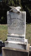 
Leslie John SCHELBERG
d: 25 Mar 1938 aged 15 y, 11 mo

Aubigny St Johns Lutheran cemetery, Toowoomba Region

