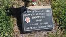 
Selwyn Albert HOOPERT (Boy)
b: 3 Feb 1922
d: 23 Jan 2006

Aubigny St Johns Lutheran cemetery, Toowoomba Region


