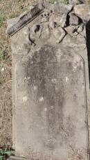 
Robert FITZPATRICK
d: 28 Oct 1870 aged 87

Banana Cemetery, Banana Shire

