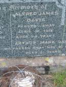 
Rhoda DAVIS,
died 4 Nov 1930 aged 74 years;
James DAVIS,
died 15 Sept 1915 aged 73 years;
Alfred James DAVIS,
died 18 April 1912 aged 22 years;
Arthur Mark DAVIS,
died 21 Nov 1957 aged 61 years;
Barney View Uniting cemetery, Beaudesert Shire
