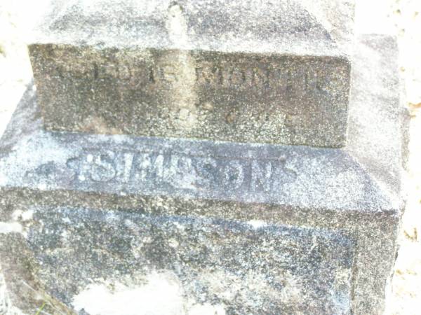 SIMPSON, aged 18 months;  | Beerburrum Cemetery, Caloundra  | 