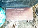 Roseanne V, stillborn 3-4-1993; Beerwah Cemetery, City of Caloundra 