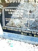 Desmond Arthur John ADAMS, accidentally killed, 10-7-1969 - 19-6-1994 aged 24 years, son husband father brother uncle; Beerwah Cemetery, City of Caloundra 