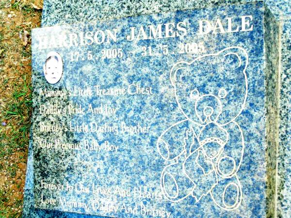 Harrison James DALE,  | 17-5-2005 - 31-5-2005,  | love mummy daddy,  | brother of Britney;  | Beerwah Cemetery, City of Caloundra  | 