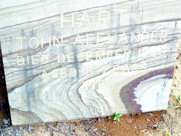 John Alexander HART,  | died Dec 1926 aged 5 years;  | Beerwah Cemetery, City of Caloundra  | 