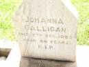 
Johanna GALLIGAN,
died 7 Dec 1953 aged 66 years;
Bell cemetery, Wambo Shire
