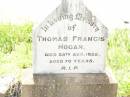 
Thomas Francis HOGAN,
died 28 Aug 1952 aged 70 years;
Bell cemetery, Wambo Shire
