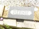 Bernard (Bernie) Michael CUDDIHY, husband father grandfather, died 10 Dec 1979 aged 71 years; Bell cemetery, Wambo Shire 