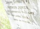Arthur JONES, died 3 April 1923 aged 54 years; Bell cemetery, Wambo Shire 