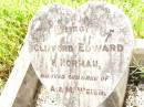 
Clifford Edward;
Norman;
children of A. & M. WEIER;
Bell cemetery, Wambo Shire
