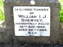 
William I.J. SHERVEY,
accidentally killed 12 Aug 1949 aged 42 years;
Bell cemetery, Wambo Shire
