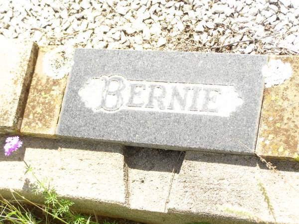 Bernard (Bernie) Michael CUDDIHY,  | husband father grandfather,  | died 10 Dec 1979 aged 71 years;  | Bell cemetery, Wambo Shire  | 