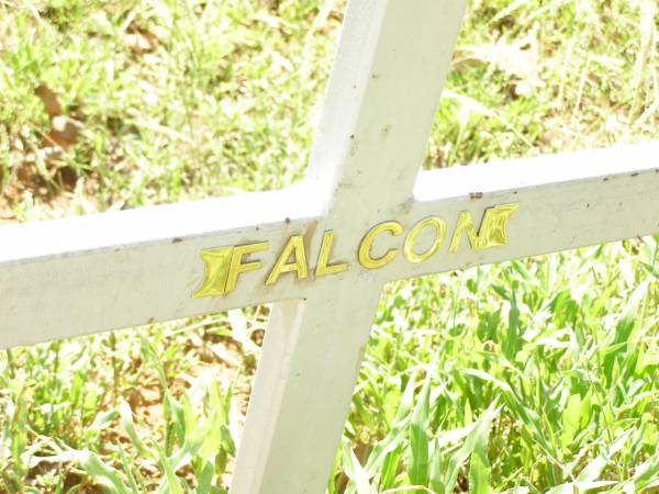 FALCON;  | Bell cemetery, Wambo Shire  | 