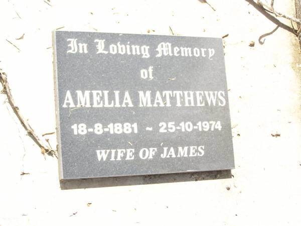 James MATTHEWS,  | husband father,  | died 3 Aug 1918 aged 45 years;  | Trevor, son of S.T. & I. BELLINGHAM,  | died 14 Nov 1944 aged 8 1/2 months;  | Amelia MATTHEWS,  | wife of James,  | 18-8-1881 - 25-10-1974;  | Bell cemetery, Wambo Shire  | 