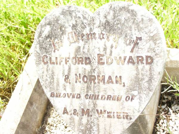 Clifford Edward;  | Norman;  | children of A. & M. WEIER;  | Bell cemetery, Wambo Shire  | 