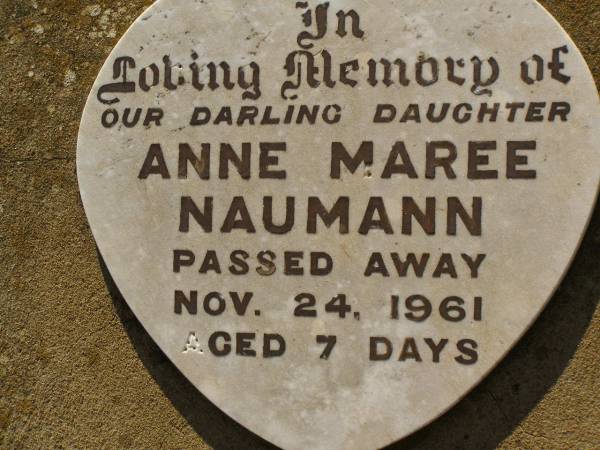 Anne Maree NAUMANN,  | daughter,  | died 24 Nov 1961 aged 7 days;  | Bell cemetery, Wambo Shire  | 